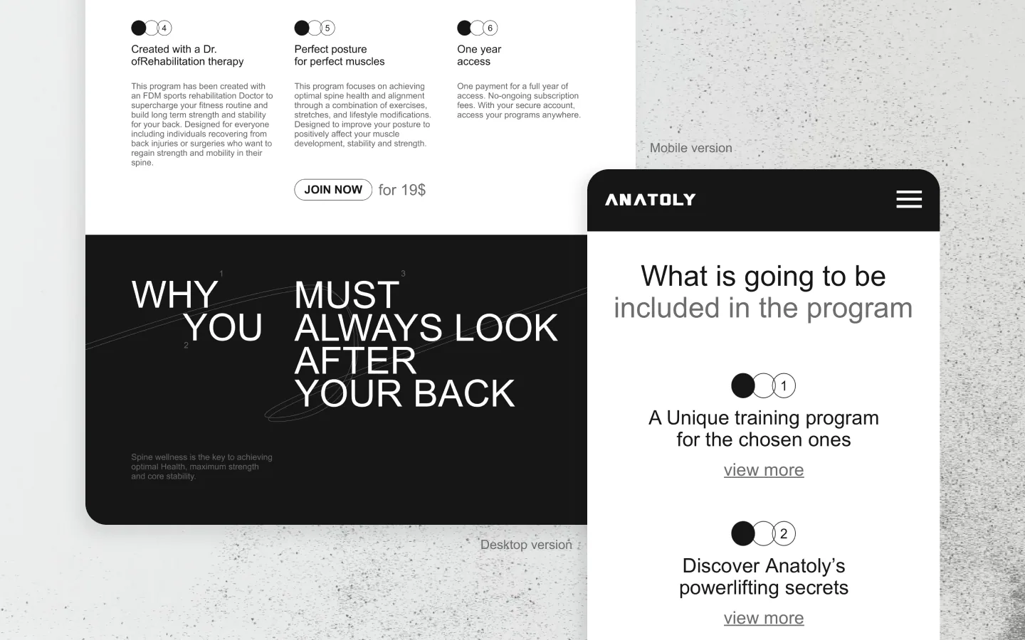 Anatoly Fit desktop and mobile program content layouts